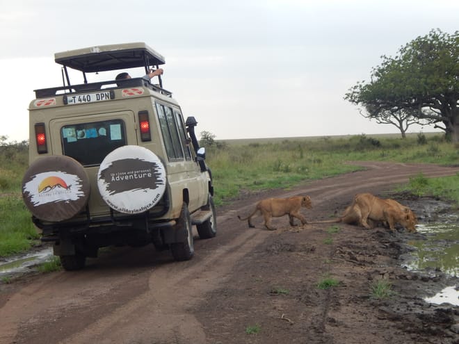 4 Days / 3 Nights - Safari on the Serengeti Plains via Ngorongoro Crater