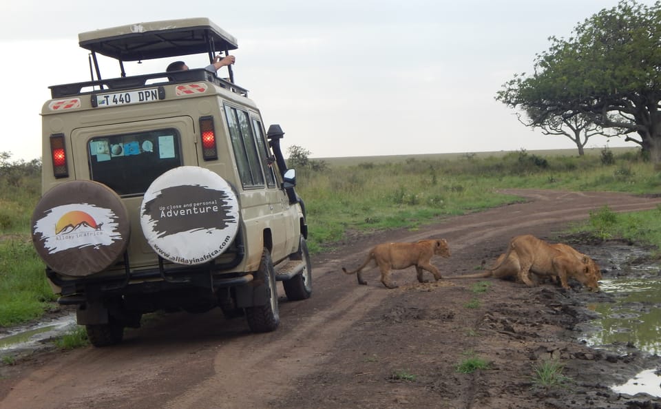 4 Days / 3 Nights – Safari on the Serengeti Plains via Ngorongoro Crater