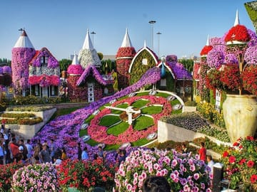 Explore the Dubai Miracle Garden: The World's Largest Flower Garden