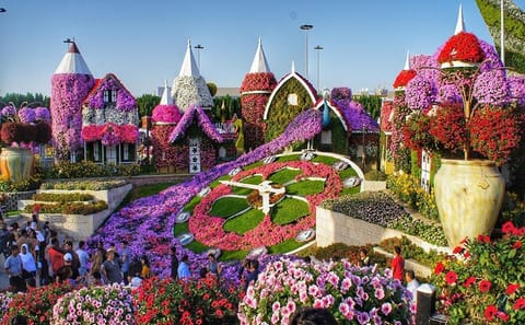 Explore the Dubai Miracle Garden: The World's Largest Flower Garden