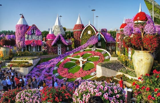 Dubai : Miracle Garden, The World’s Largest Flower Paradise