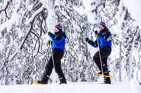 Snowshoe Experience in Lapland Forest - Rovaniemi 2