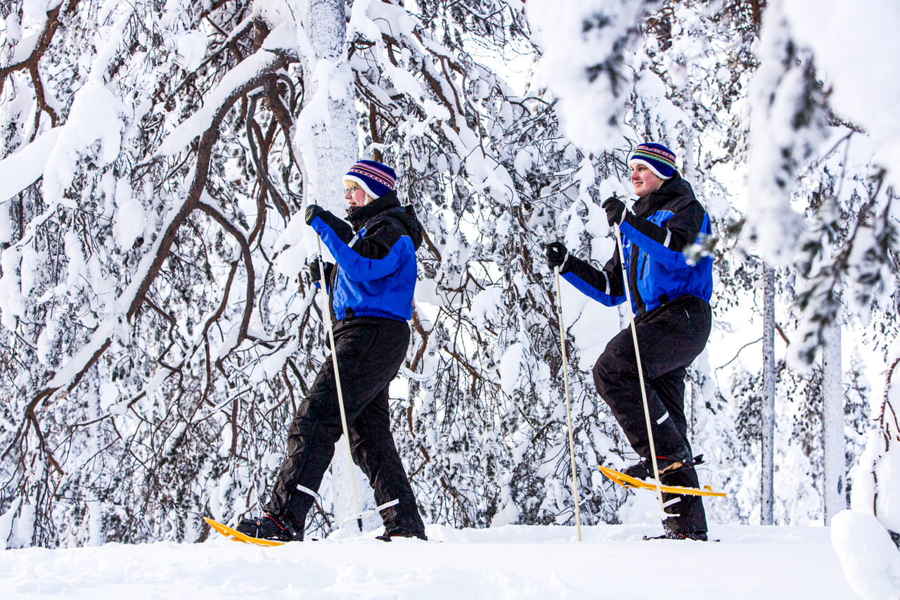 Snowshoe Experience in Lapland Forest - Rovaniemi 2