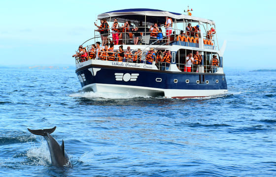 CEYLON CLASSIC TOUR – 3 Nights/4 Days