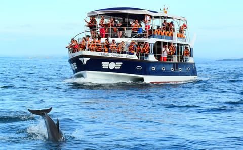 Ceylon Classic Adventure Tour in Colombo, Sri Lanka