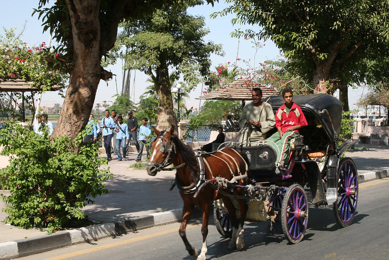 City Tour by Horse Carriage – Hantour