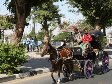 Horse Carriage City Tour at Luxor Temple, Luxor