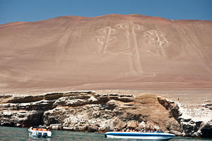 Nasca Lines & Ballestas Islands Private Full Day Tour from Lima
