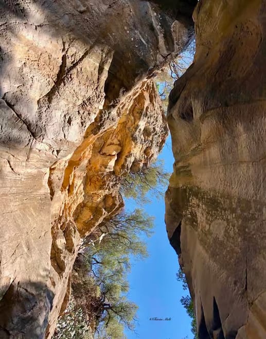 Not only Cefalù: canyon adventure & hidden Sicily 6