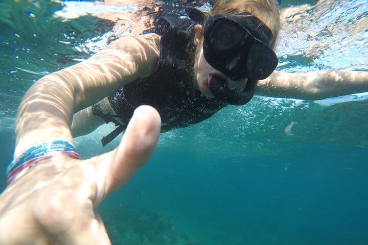 Espiritu Santo Island & Sea Lions Private Tour from La Paz 10