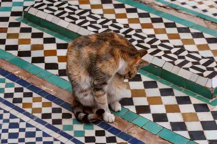 Marrakech Private tour  10