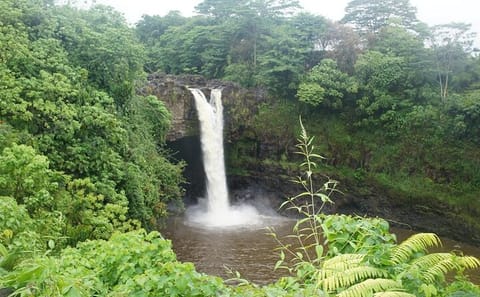 Hilo Waterfalls and Scenic Shore Excursion Tour