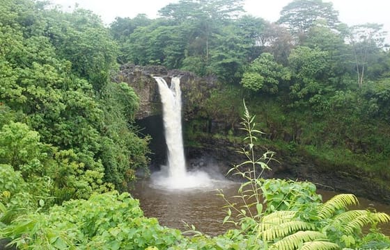 From Big island Hilo Shared Shore Excursion and Waterfalls Tour
