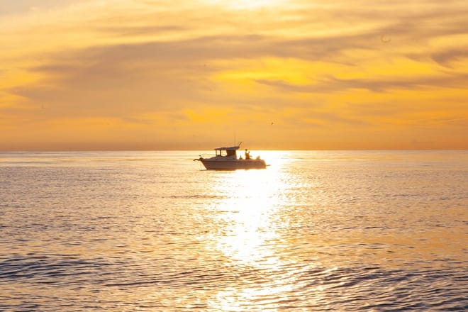 Reef Fishing Experience from Portimao photo 6