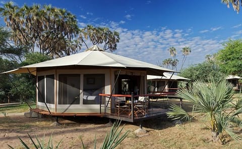 Private 6-Day Safari Tour of Samburu, Lake Nakuru & Masai Mara