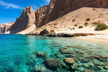 Ras Mohammed National Park Half Day Tour from Sharm El-Sheikh