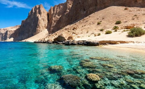 Ras Mohammed National Park Half Day Tour from Sharm El-Sheikh