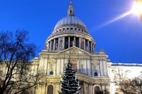 7 Day Private Tour of London with Host Family Accommodation 4
