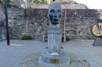 Walk historic Kilkenny with a qualified tour guide. (English) 6