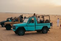 Dubai Heritage Safari in Vintage Land Rover Al Marmoom Oasis 6