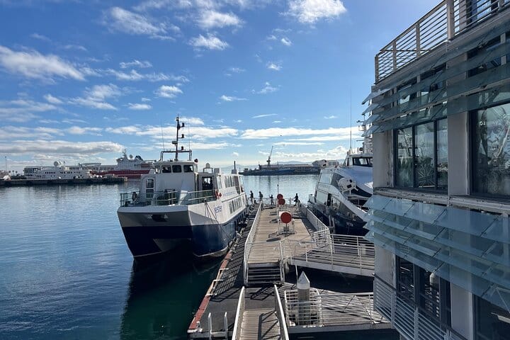 Robben Island Museum Ticket Ferry Half Day Tour