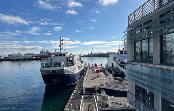 Robben Island Museum Ticket Ferry Half Day Tour