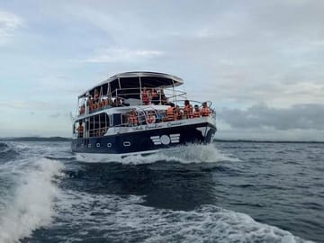 Whale Watching Tour from Mirissa, Sri Lanka