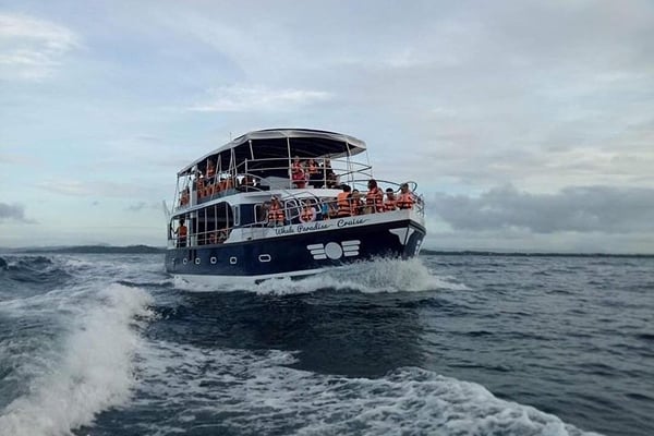 Things to do in Mirissa