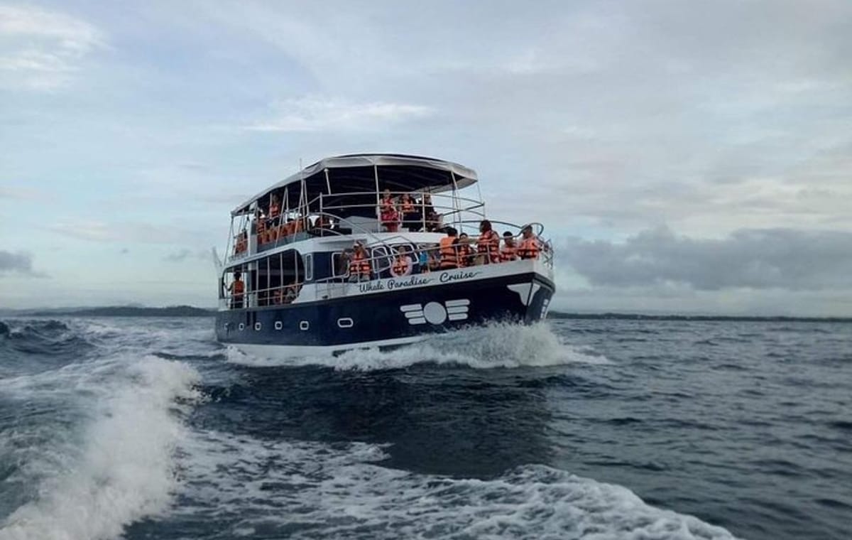 Whale Watching Experience in Mirissa