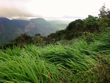 Adventure and Nature Tour in Colombo, Sri Lanka - 5 Days