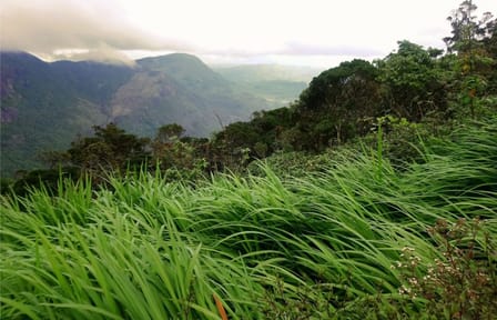 Glory of Sri Lanka (04 nights & 05 days)