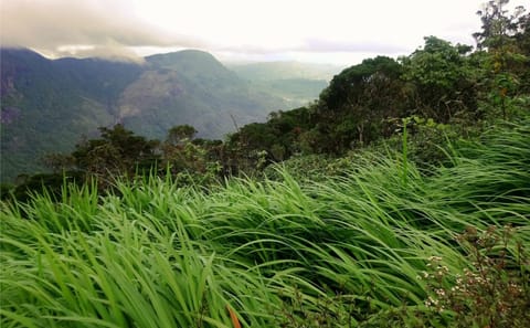 Adventure and Nature Tour in Colombo, Sri Lanka - 5 Days