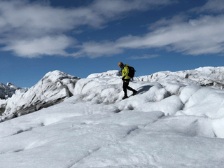 Summer Treasure - Glacier Discovery, photo 8