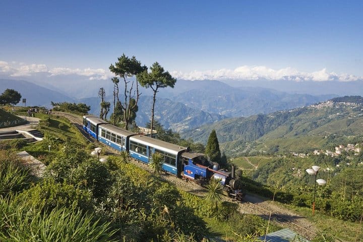 Touring the park by train