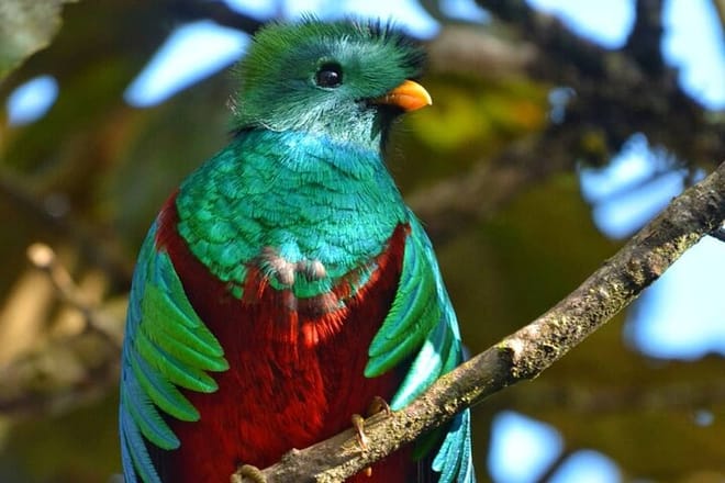 El Quetzal Sanctuary