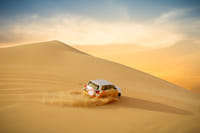 liwa desert safari