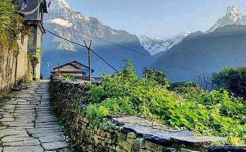 3-Day Trek to Ghandruk: Explore Nature and Culture