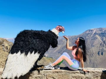Colca Canyon Adventure Tour from Puno to Chivay