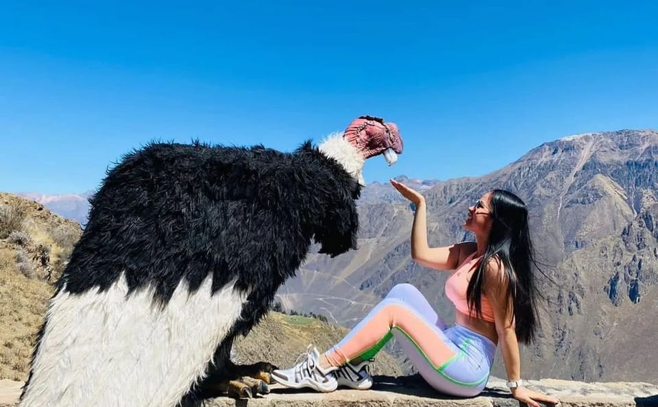 Colca Canyon Adventure Tour from Puno to Chivay