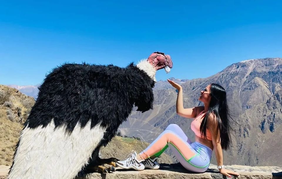 Colca Canyon Adventure Tour from Puno to Chivay