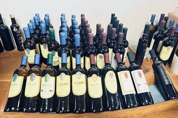 Kefalonia Wine and Gastronomy Tour at Sclavos Estate