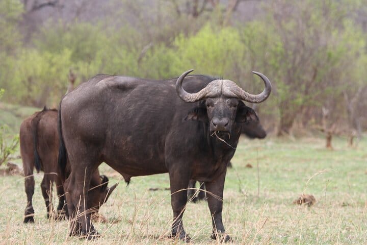 15 minutes scenic helicopter flight above Victoria Falls-Zimbabwe