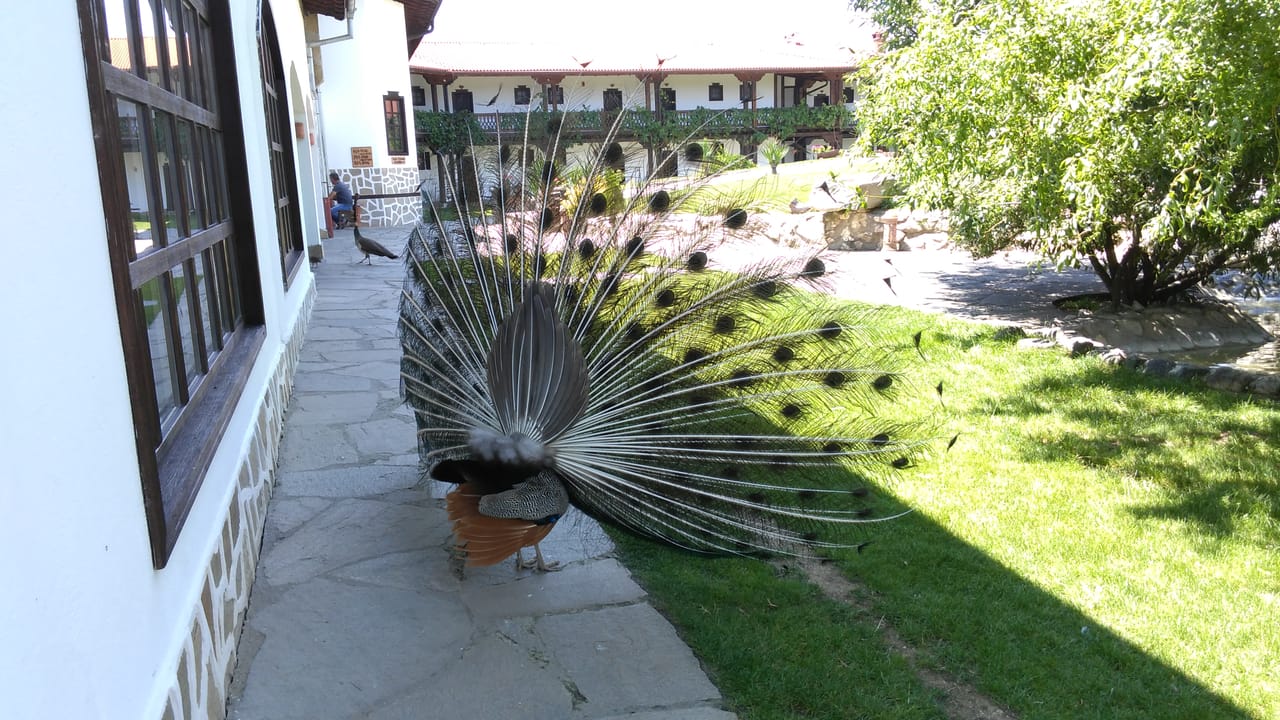 Private Day Trip to Hissarya & Starosel from Plovdiv 2