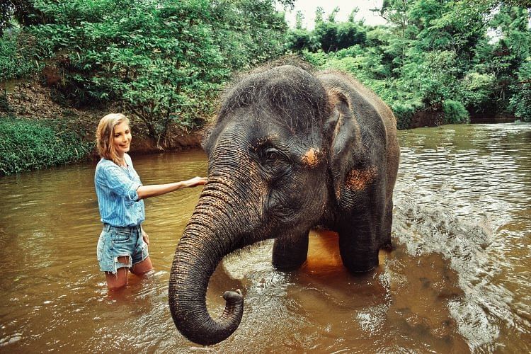 Elephant Sanctuary