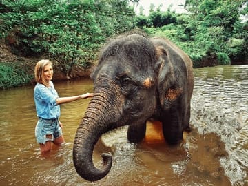 Elephant Sanctuary Experience in Lanchang, Pahang