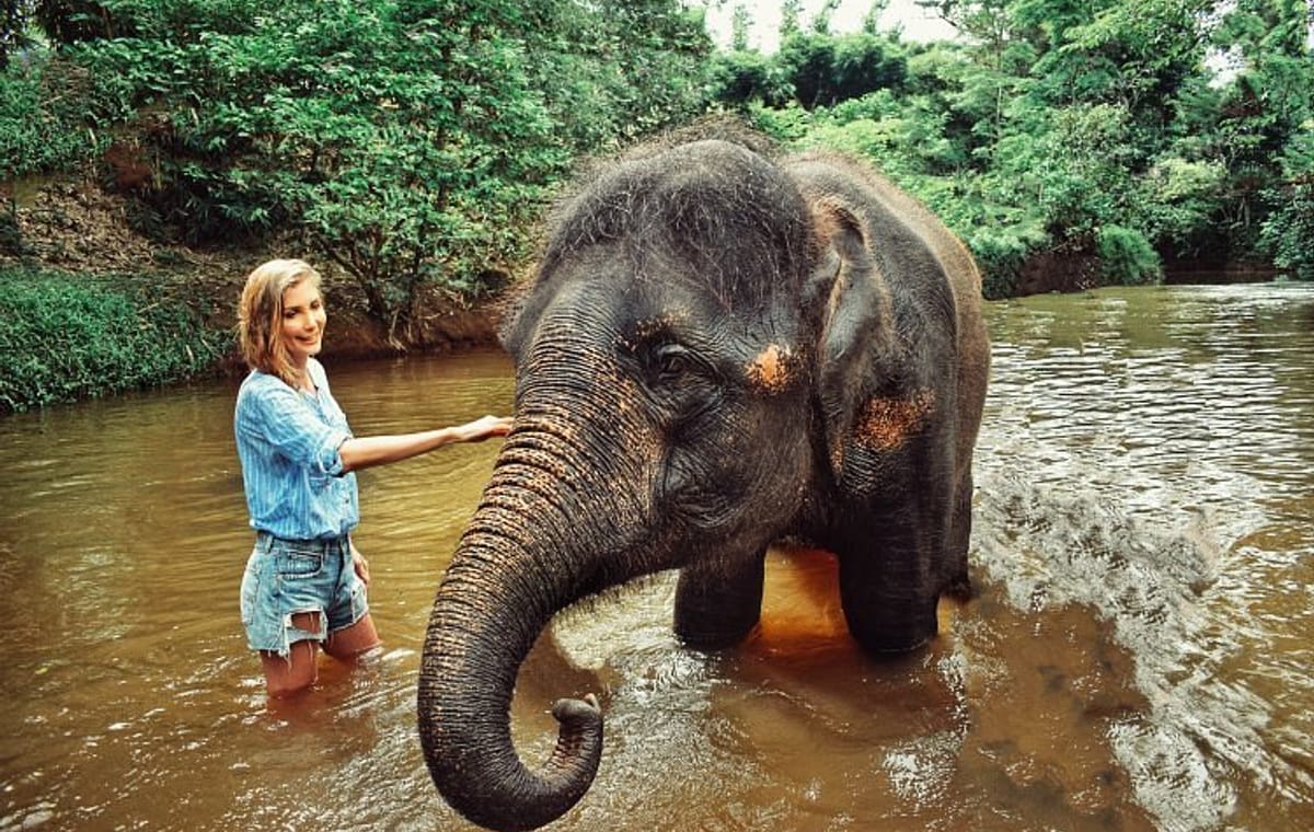 Elephant Sanctuary Experience in Lanchang, Pahang
