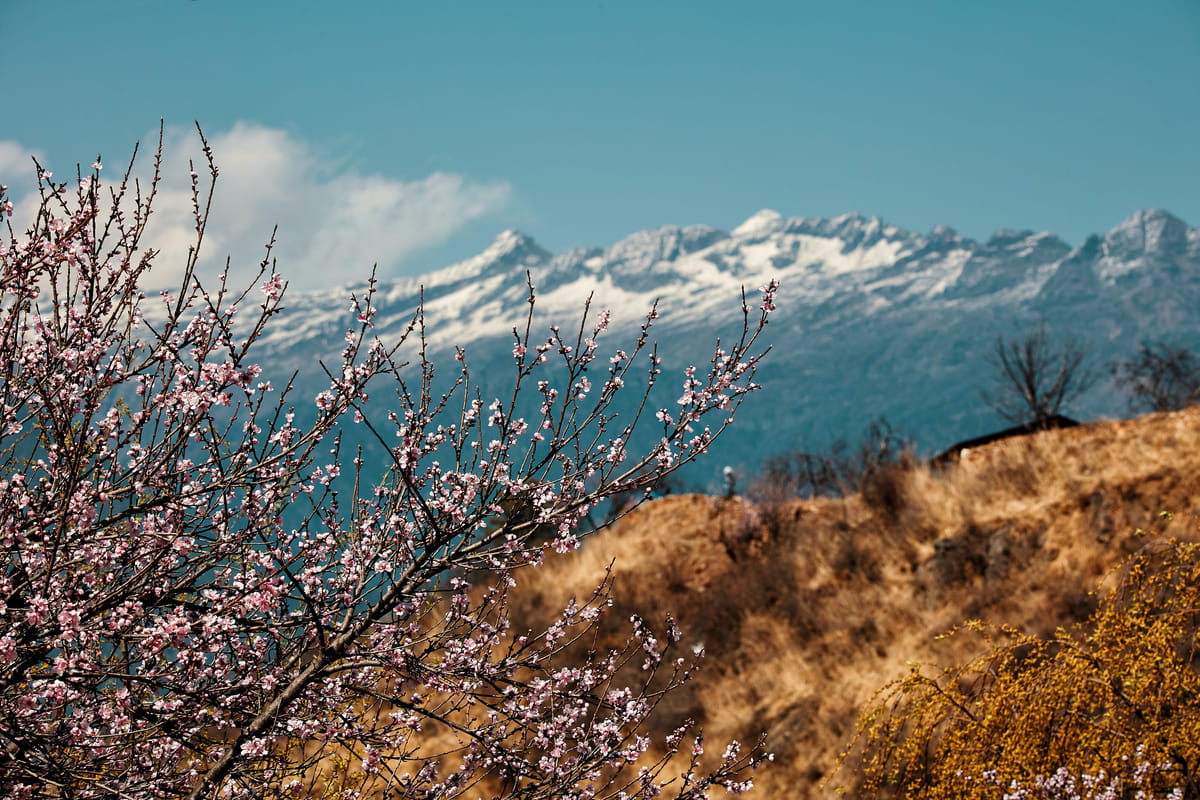 19 Days Mera Peak Climbing & Expedition – One Life-Changing Himalayan Adventure