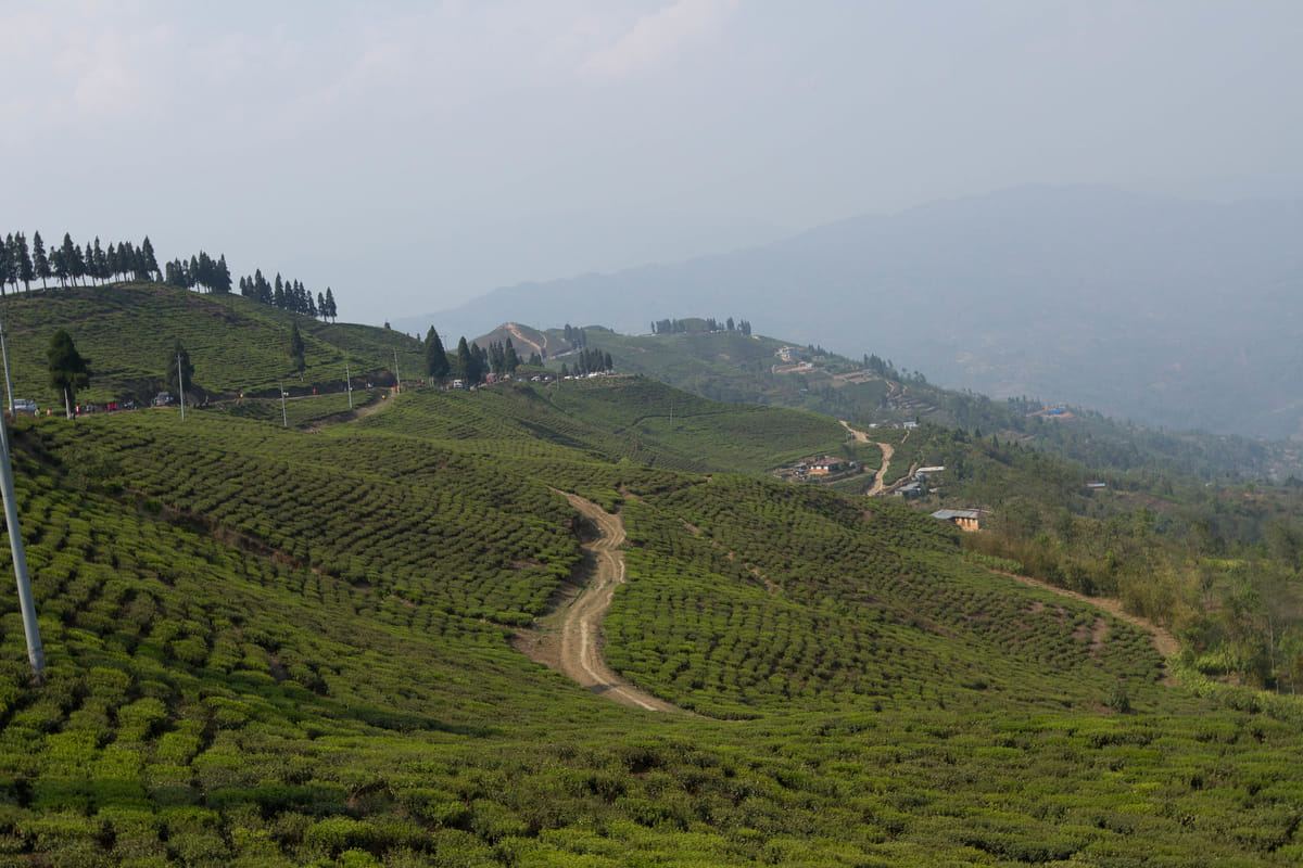 19 Days Mera Peak Climbing & Expedition – One Life-Changing Himalayan Adventure