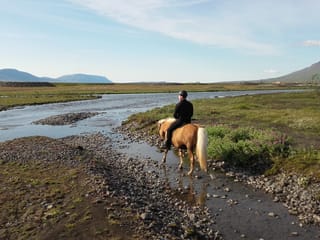 River Delta, photo 13
