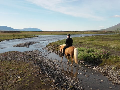 River Delta, photo 13
